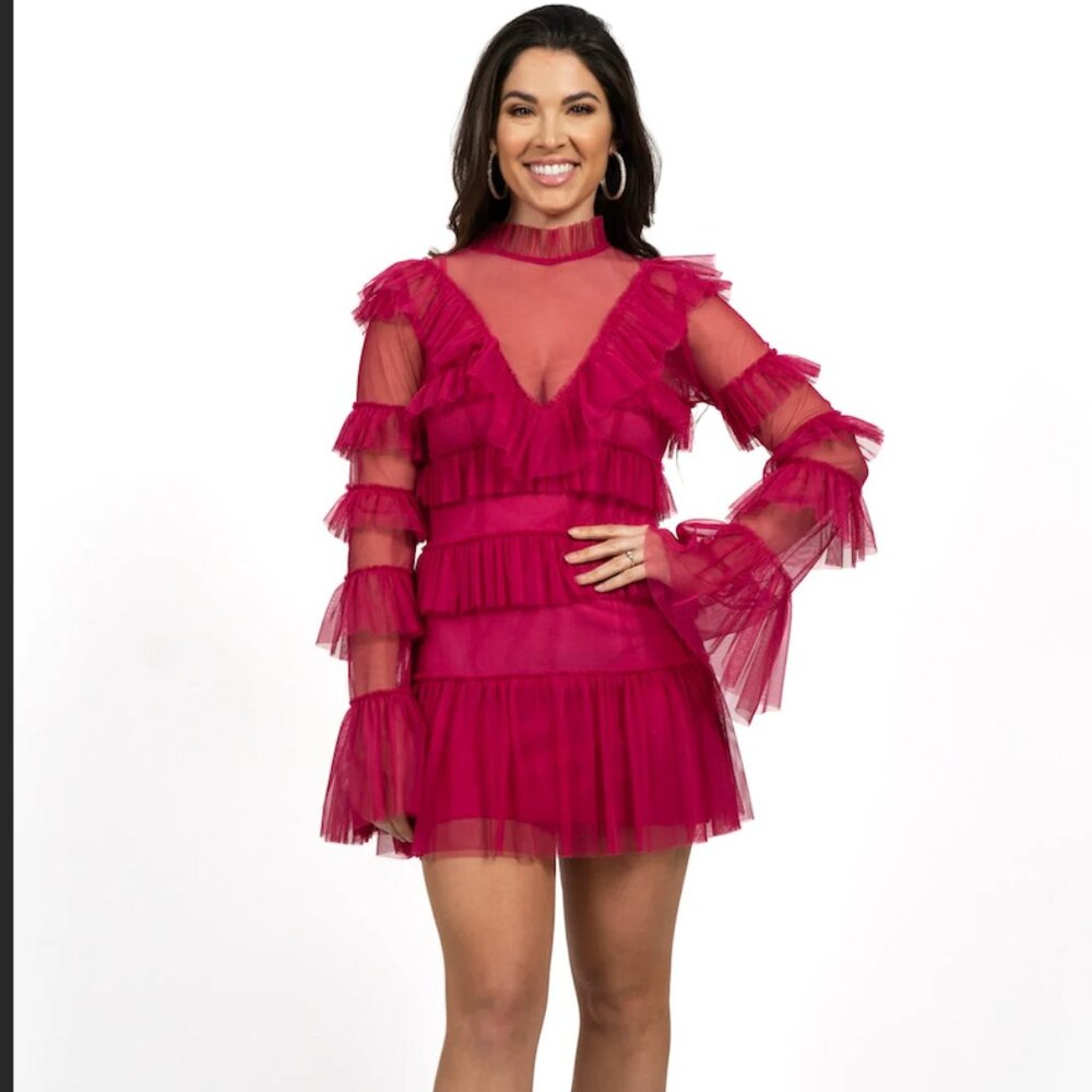 Alice Long Sleeve Ruffle Tulle Mini